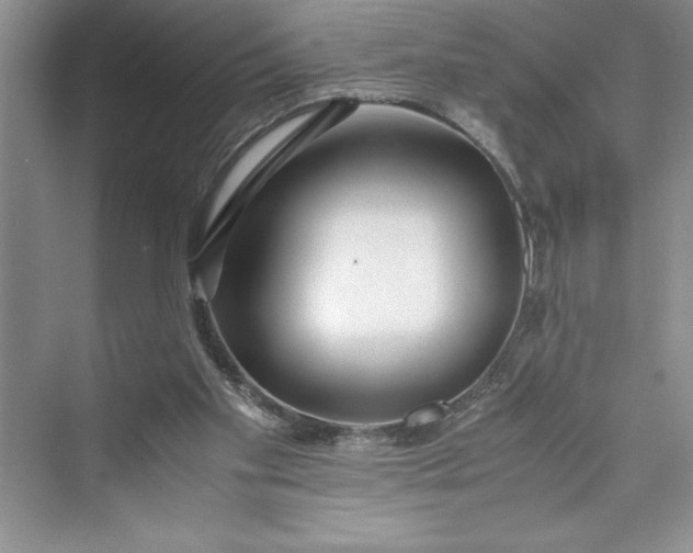 X0000075410109200609251055