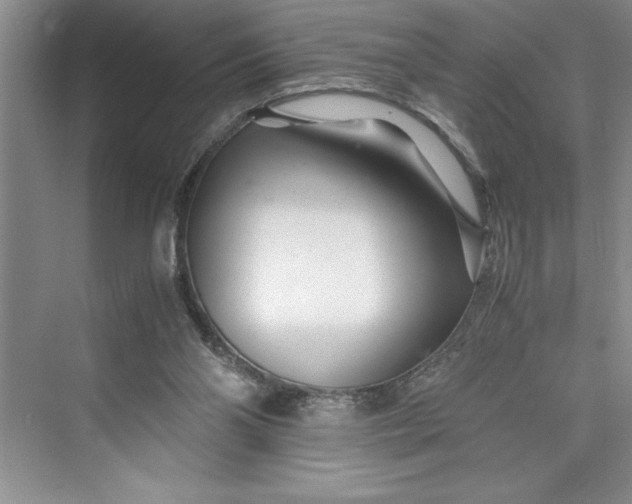 X0000075410110200609251055