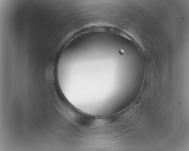 X0000075410111200609251054