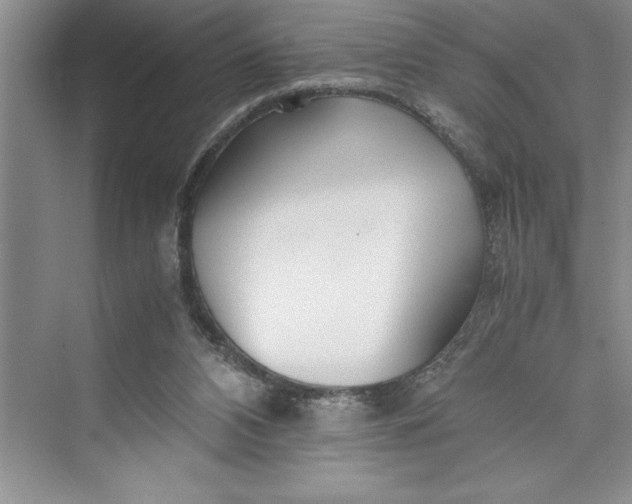 X0000075410112200609251054