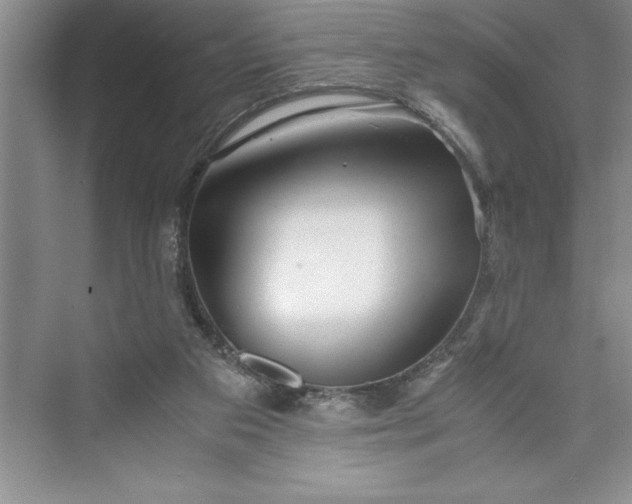 X0000075410113200609251054