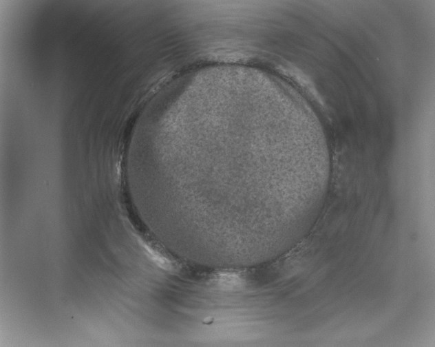 X0000075410114200609251054