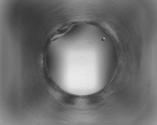 X0000075410115200609251054