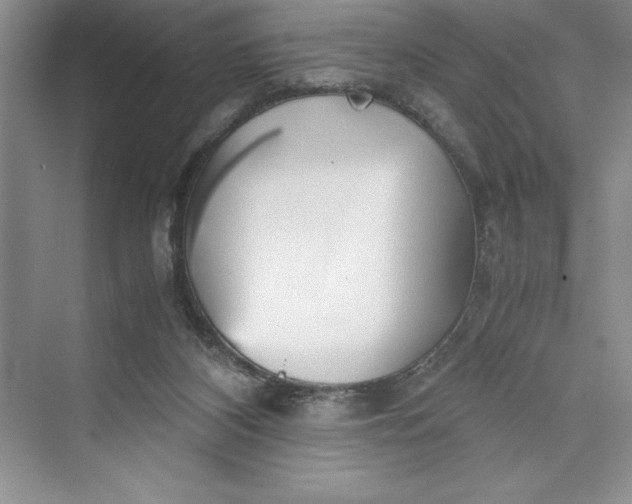 X0000075410116200609251054