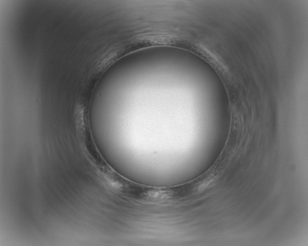 X0000075410117200609251054