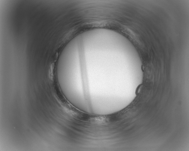 X0000075410118200609251054