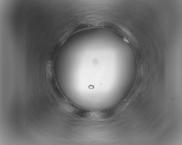 X0000075410121200609251054