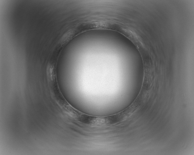 X0000075410123200609251054