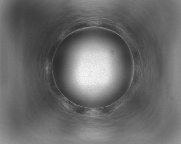 X0000075410125200609251054