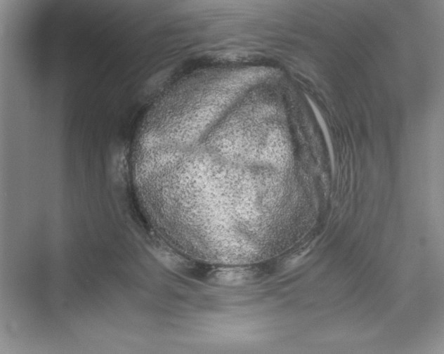 X0000075410127200609251054