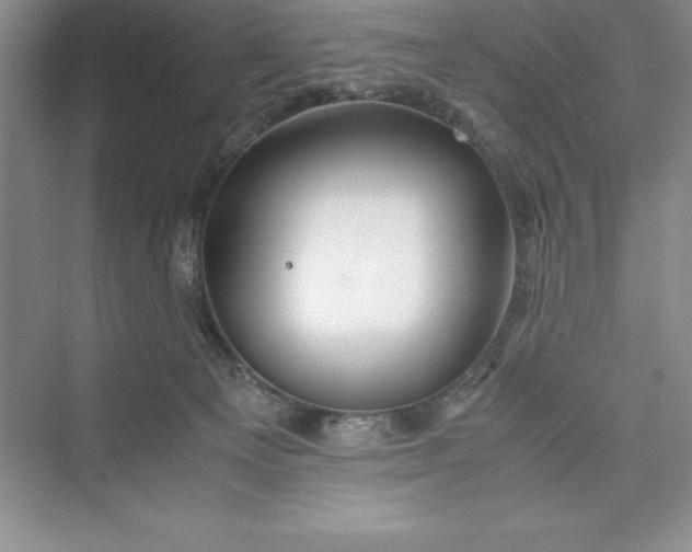 X0000075410129200609251054