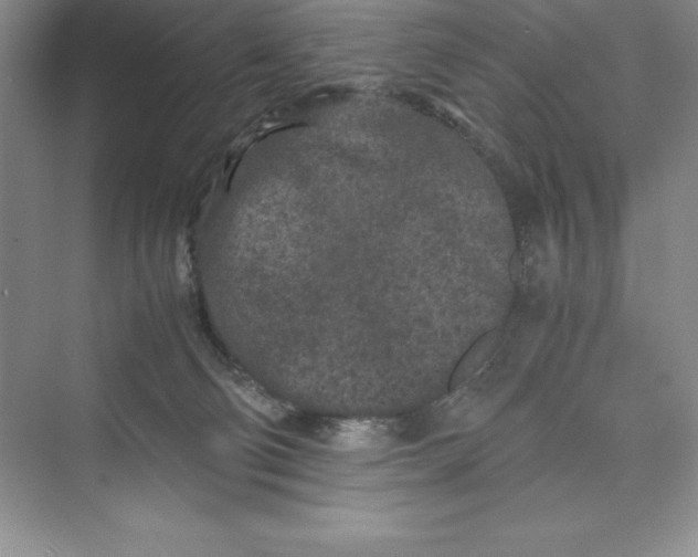 X0000075410130200609251054