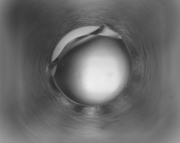 X0000075410131200609251054