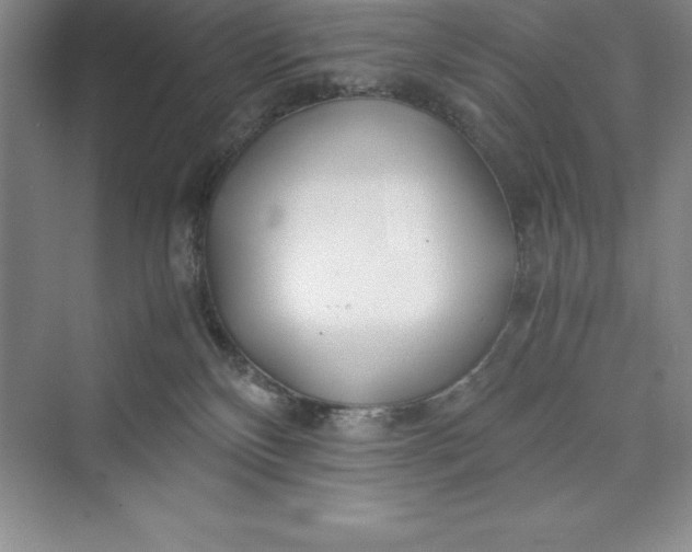 X0000075410136200609251054