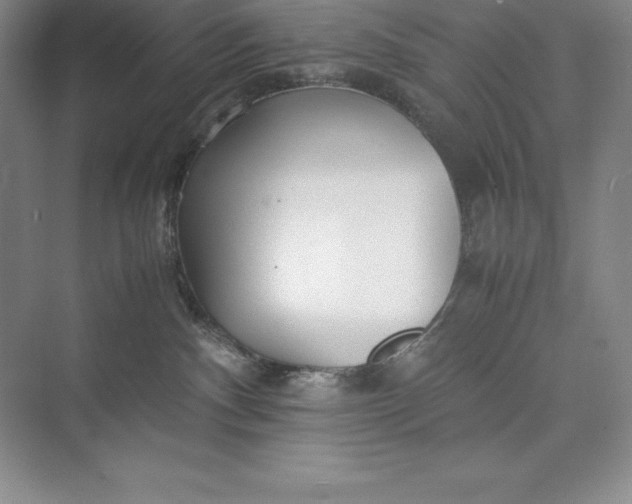 X0000075410140200609251054