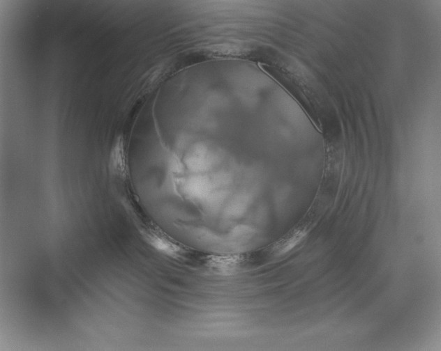 X0000075410143200609251054