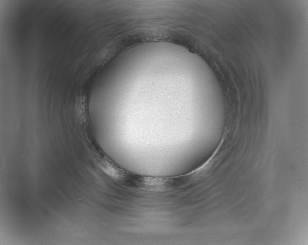 X0000075410144200609251054