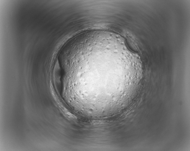 X0000075410145200609251053