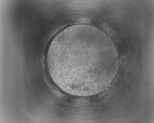 X0000075410146200609251053