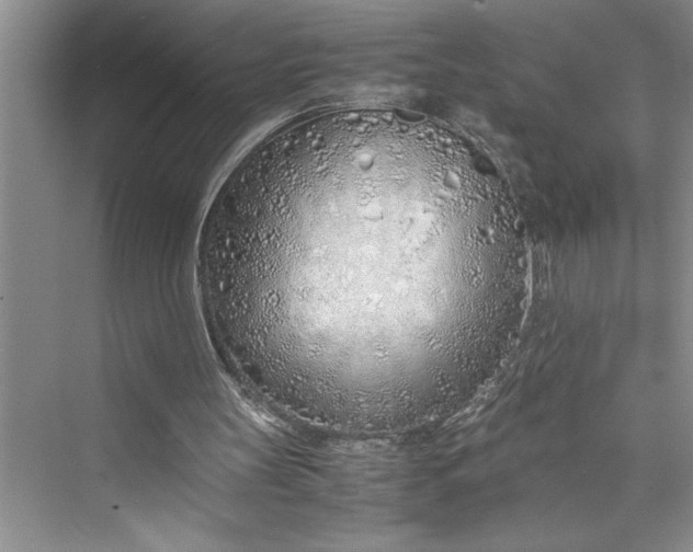 X0000075410147200609251053