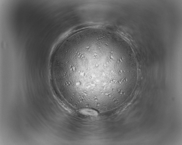 X0000075410149200609251053