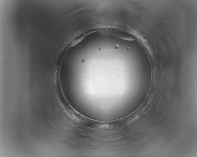 X0000075410153200609251053