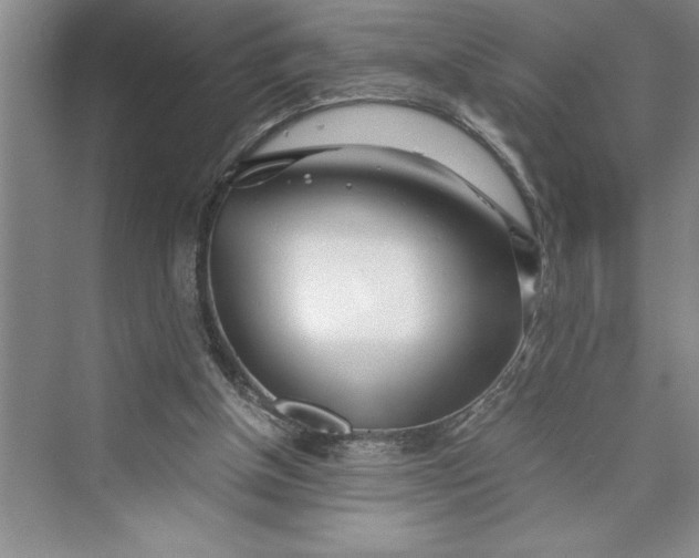 X0000075410154200609251053