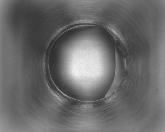 X0000075410156200609251053