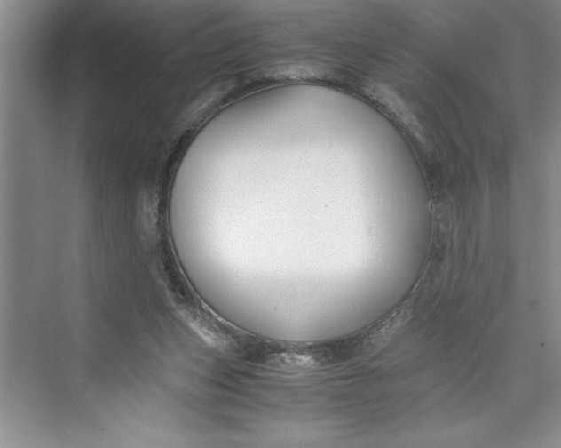 X0000075410159200609251053