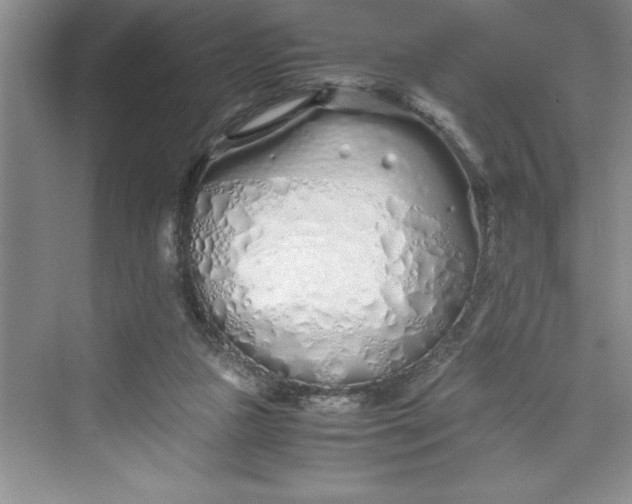 X0000075410161200609251053