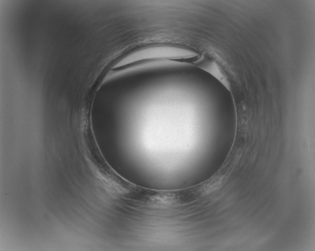 X0000075410164200609251053