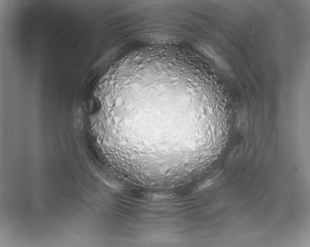 X0000075410165200609251053