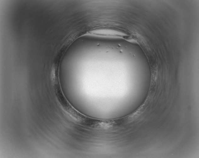 X0000075410166200609251053