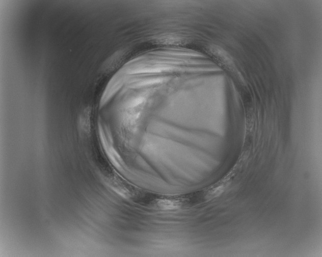 X0000075410167200609251053