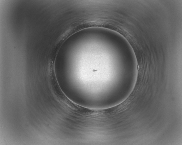 X0000075410168200609251054