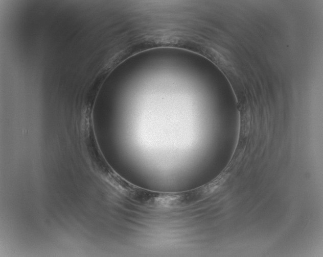 X0000075410172200609251054