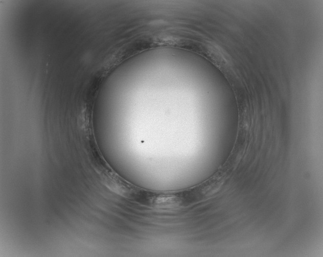 X0000075410173200609251054