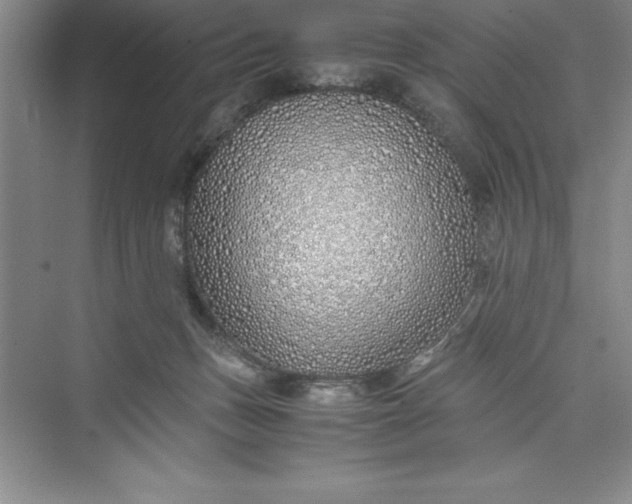 X0000075410175200609251054