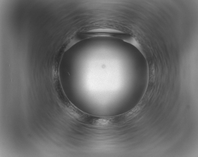 X0000075410176200609251054