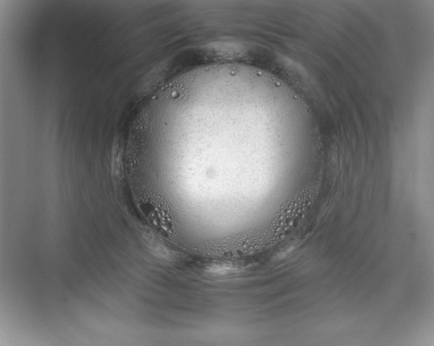 X0000075410177200609251054