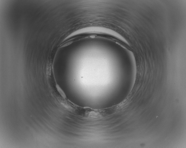 X0000075410180200609251054