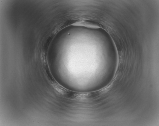 X0000075410182200609251054