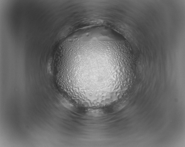 X0000075410185200609251054