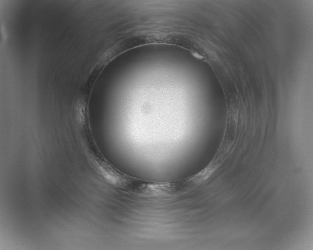 X0000075410188200609251054