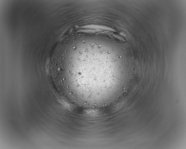 X0000075410189200609251054