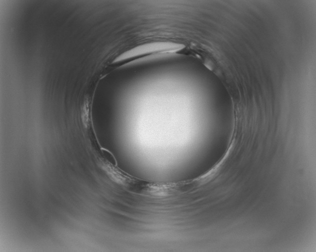 X0000075410190200609251054