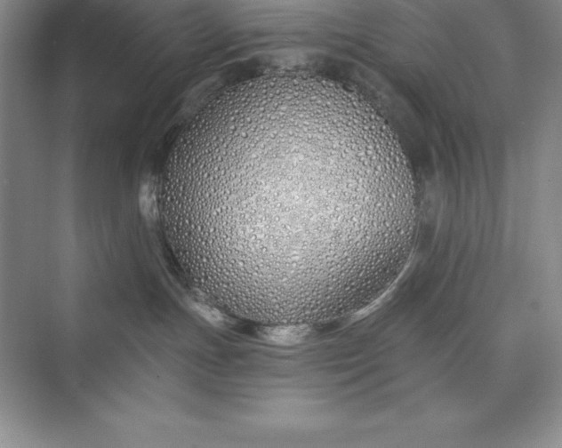 X0000075410191200609251054