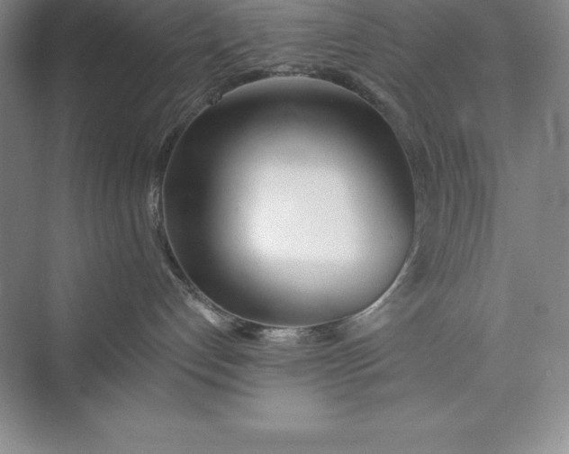 X0000075410192200609251054