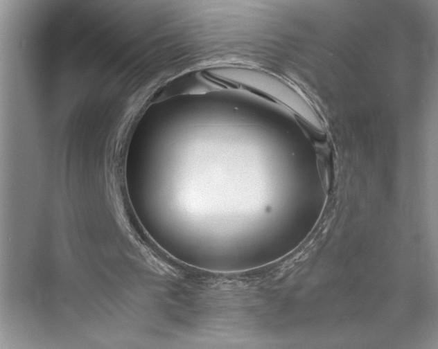 X0000075410193200609251053