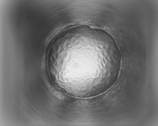 X0000075410194200609251053